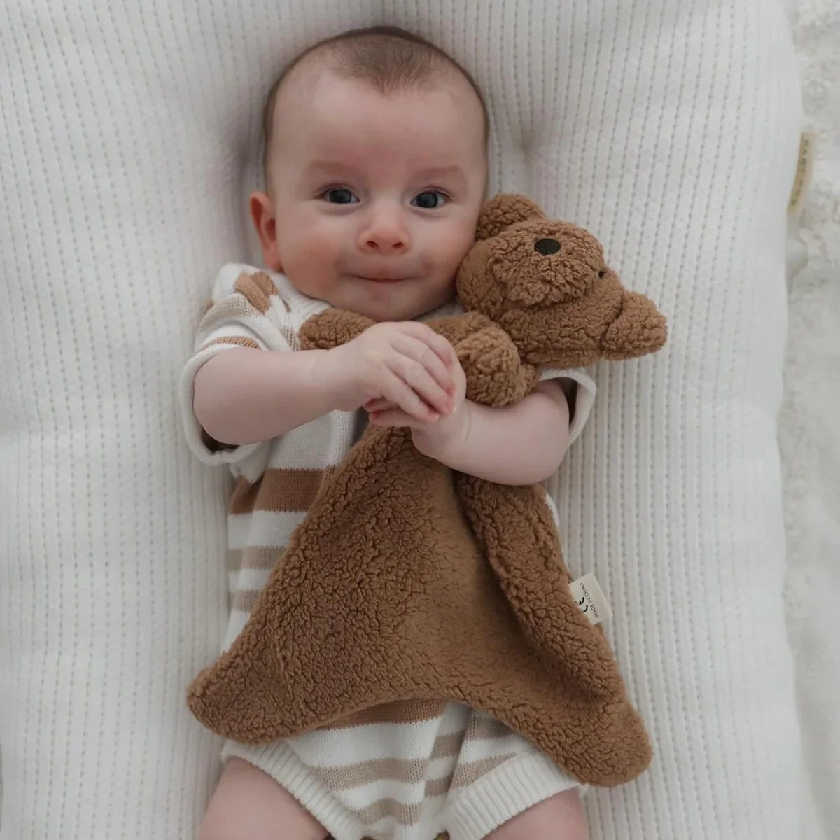 Pop Ya Tot - Comforter Toy | Little Teddy