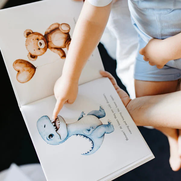 Little Love Chapters - Big Brother Book