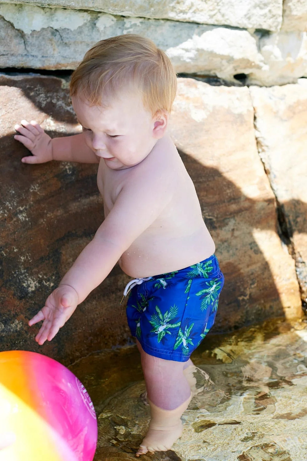 Sparkle Creative - Boys Boardshort | Parrot