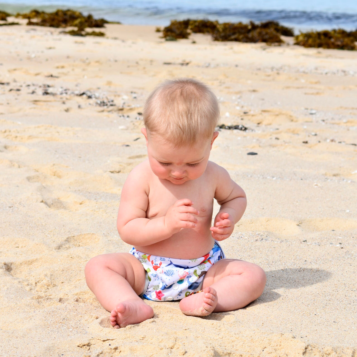 Tinker Tot Baby - Reusable Swim Nappy – Sharks & Sea Creatures