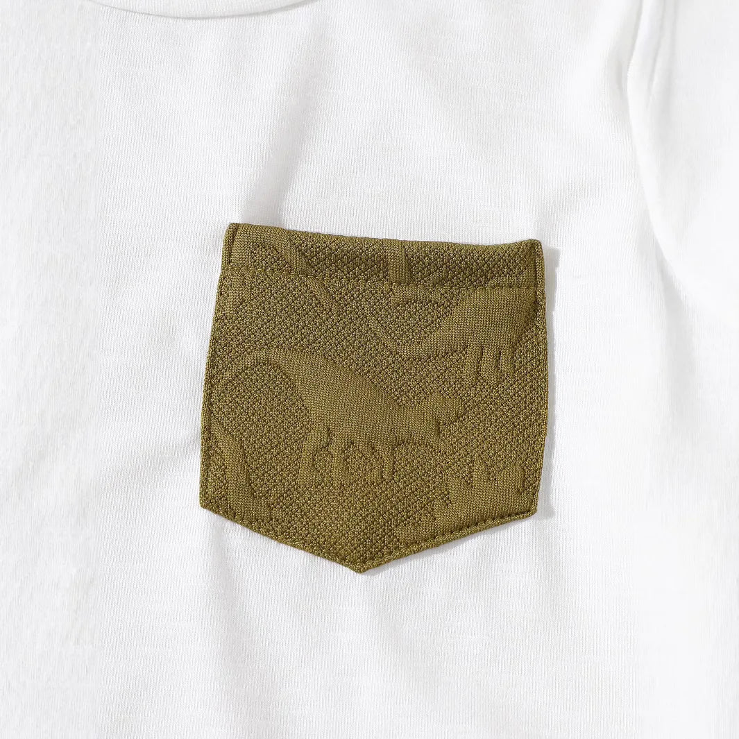 Dinosaur Green Shorts Set